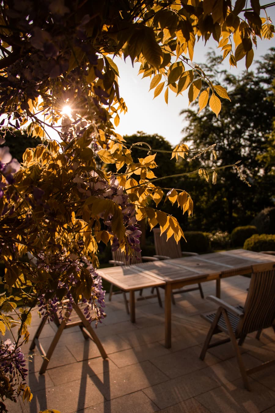 Dining Areas