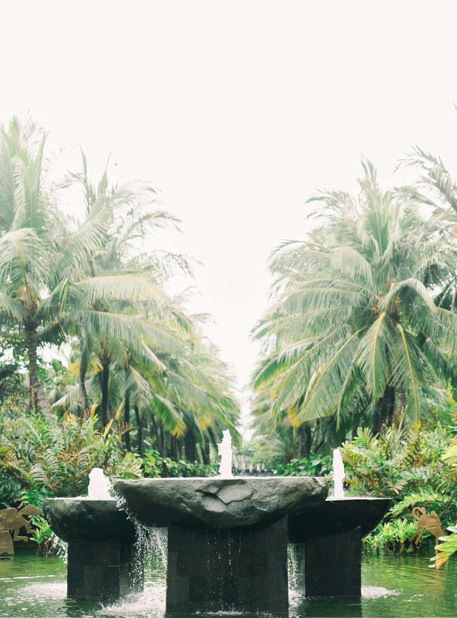 Tropical palm grove with a carved stone fountain